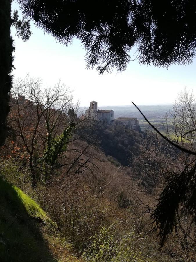 Hotel Villa Elda Assisi Bagian luar foto